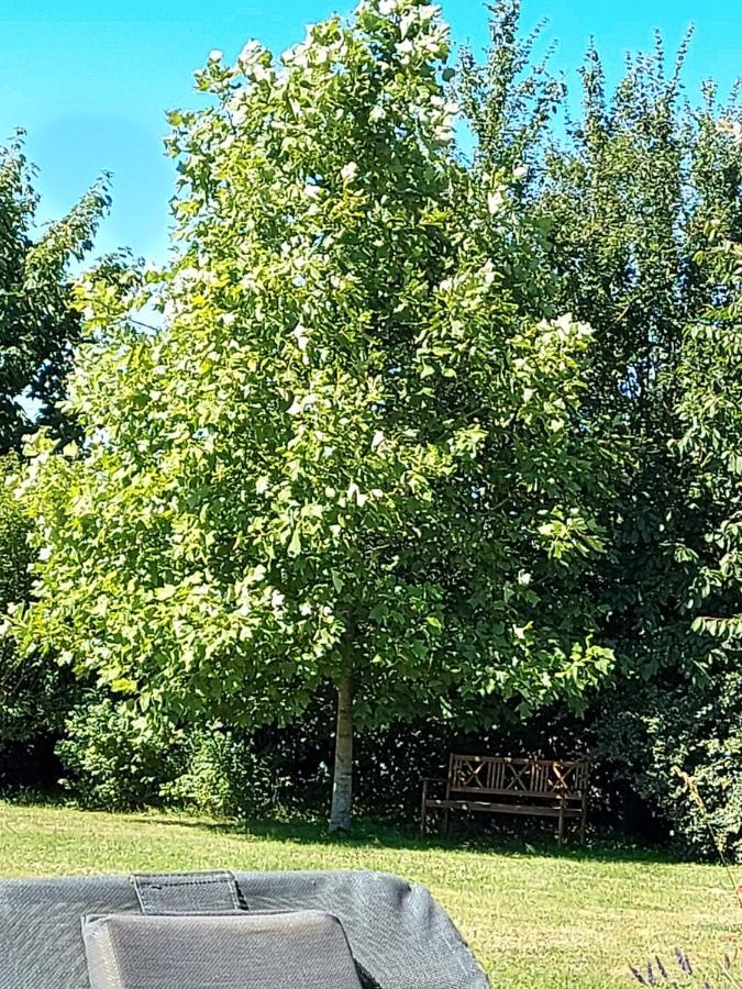 Gite D'Anne Et Ulysse Sept-Freres Dış mekan fotoğraf